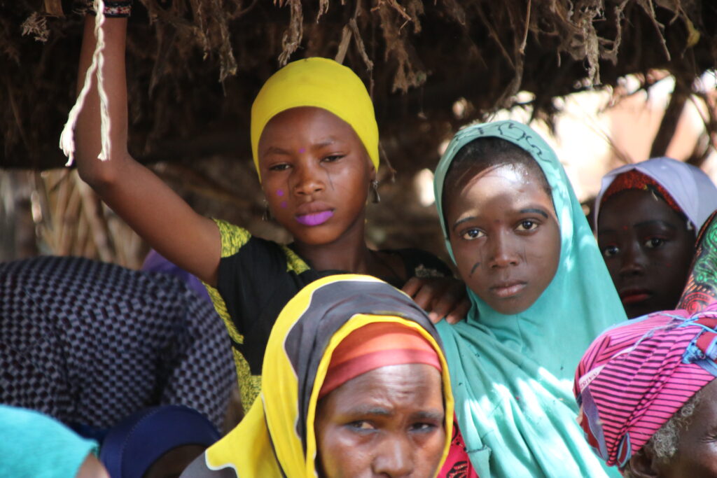 Youth Participatory Action Research in Niger - Pathfinder International