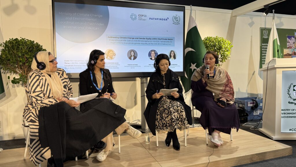 COP29 side event: Addressing Climate Change and Gender Equity within the Private Sector